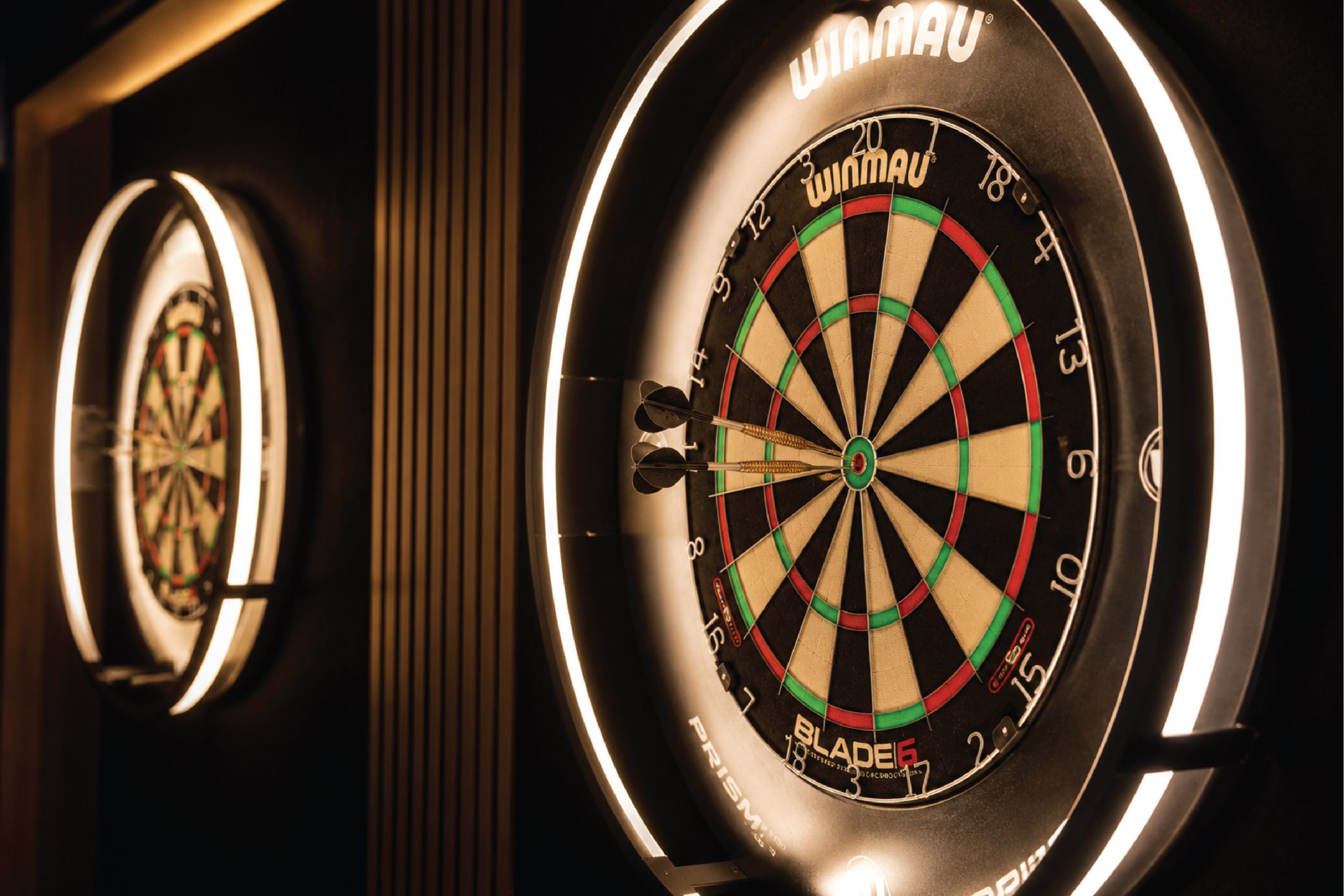 HOME 19th hole darts board close up